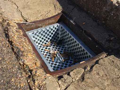 sugarfilter iverna filter for storm drains
