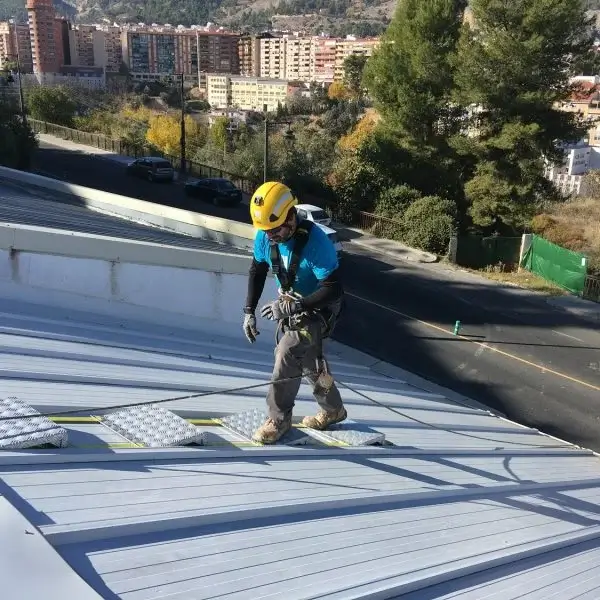flexible ladder for maintenance roofs